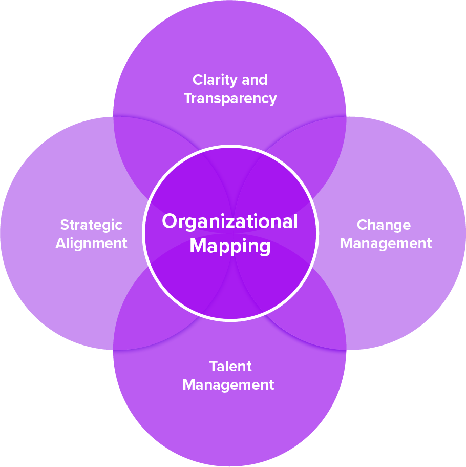 organizational mapping