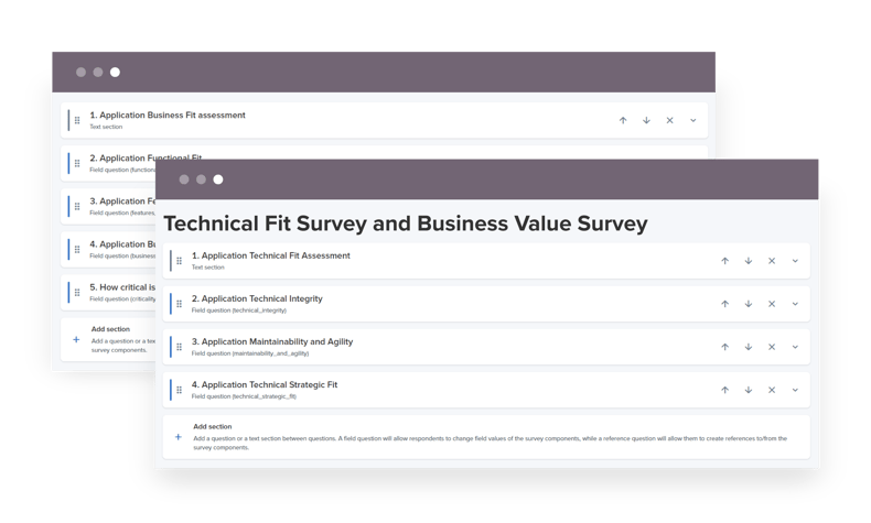 Example survey questions for assessing the Technical and Business Fit of an application portfolio.